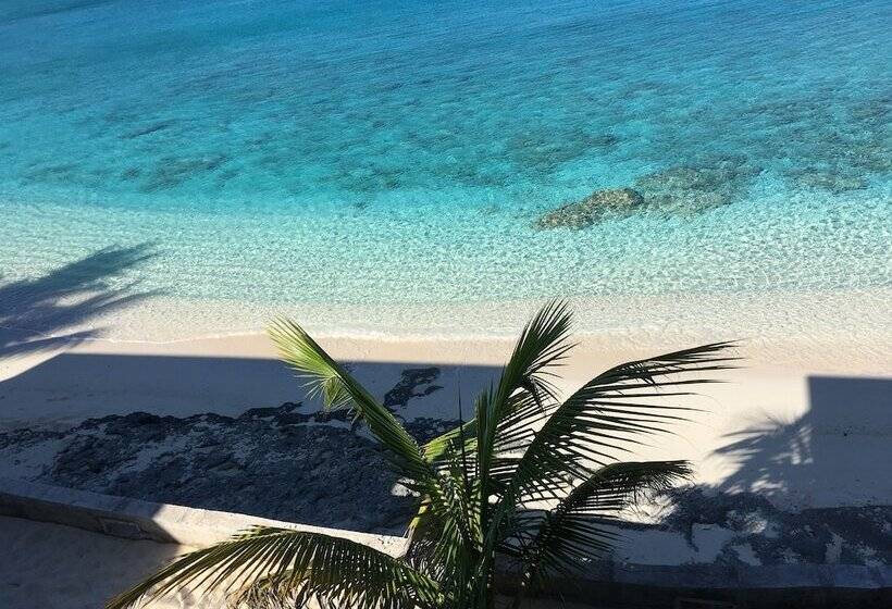 Отель The Sands