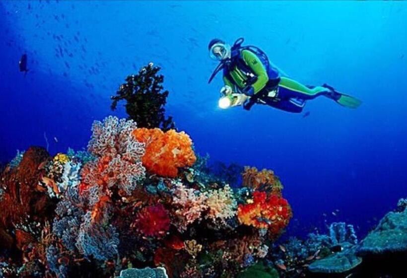 Отель The Sands