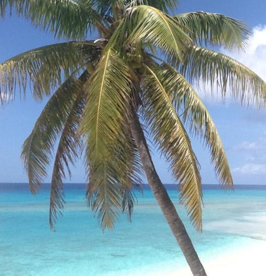 Отель The Sands