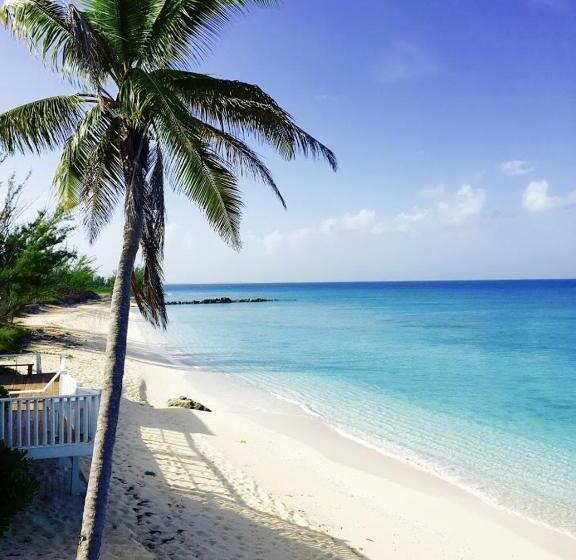 Отель The Sands