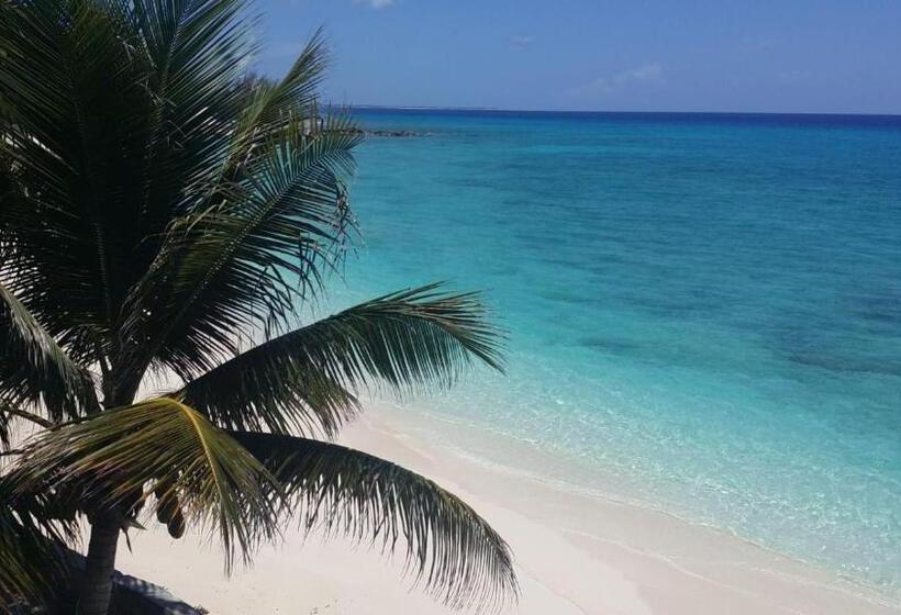 Отель The Sands