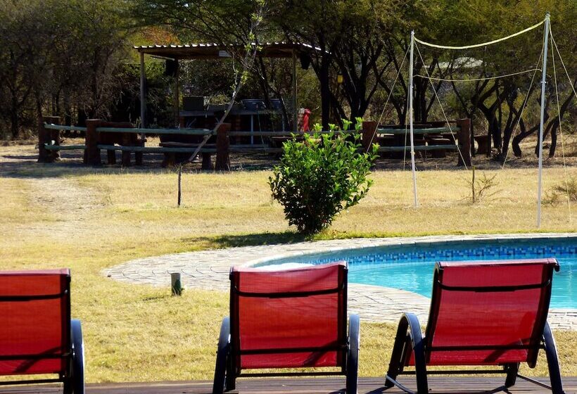 בית מלון כפרי Thorn Tree Bush Camp