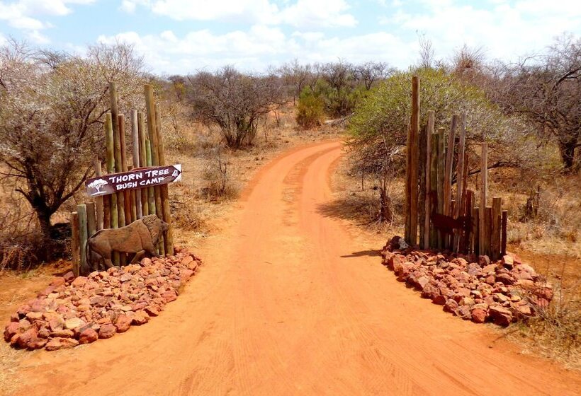 호텔 Thorn Tree Bush Camp