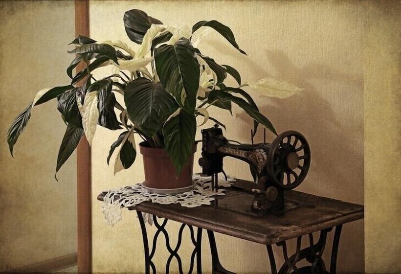 호텔 Usadba Pleshanova