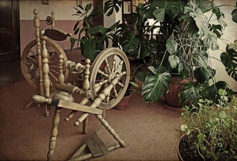 Отель Usadba Pleshanova