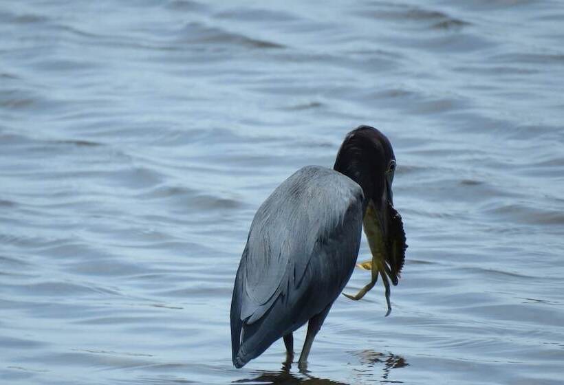 בית מלון כפרי Villas En El Bosque
