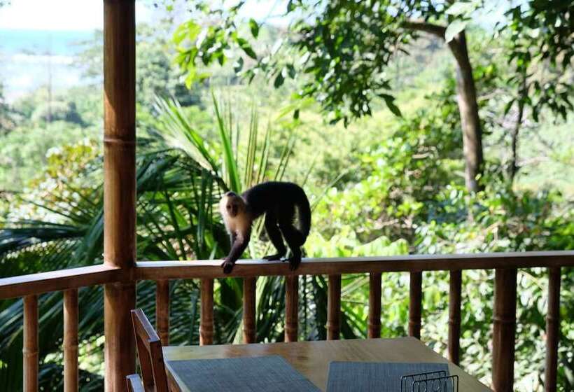 בית מלון כפרי Villas En El Bosque