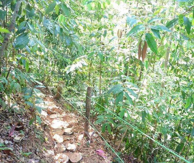 בית מלון כפרי Villas En El Bosque