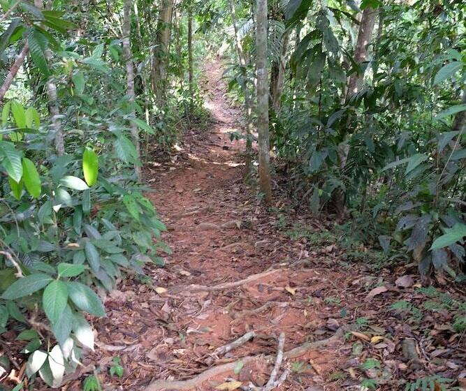 בית מלון כפרי Villas En El Bosque