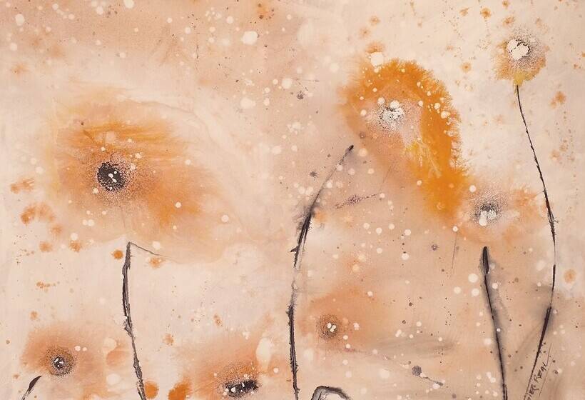 酒店 Vista Del Sol B&b