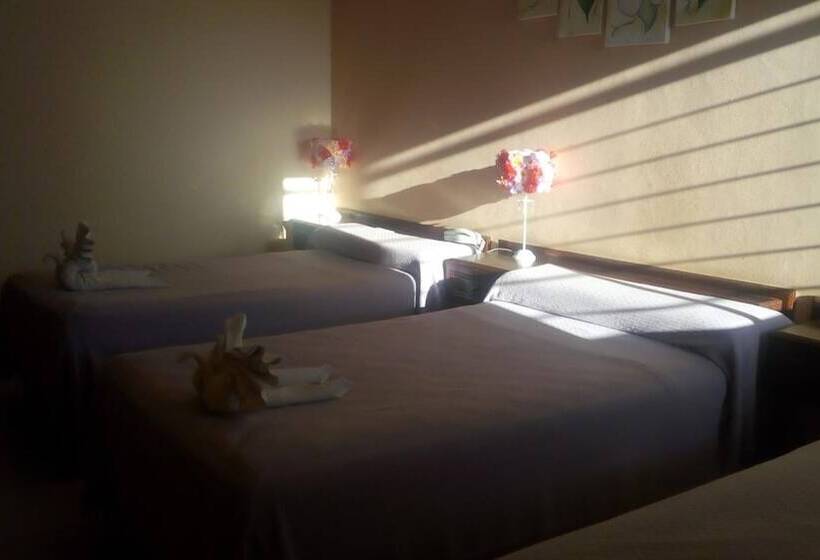 酒店 Vista Del Sol B&b