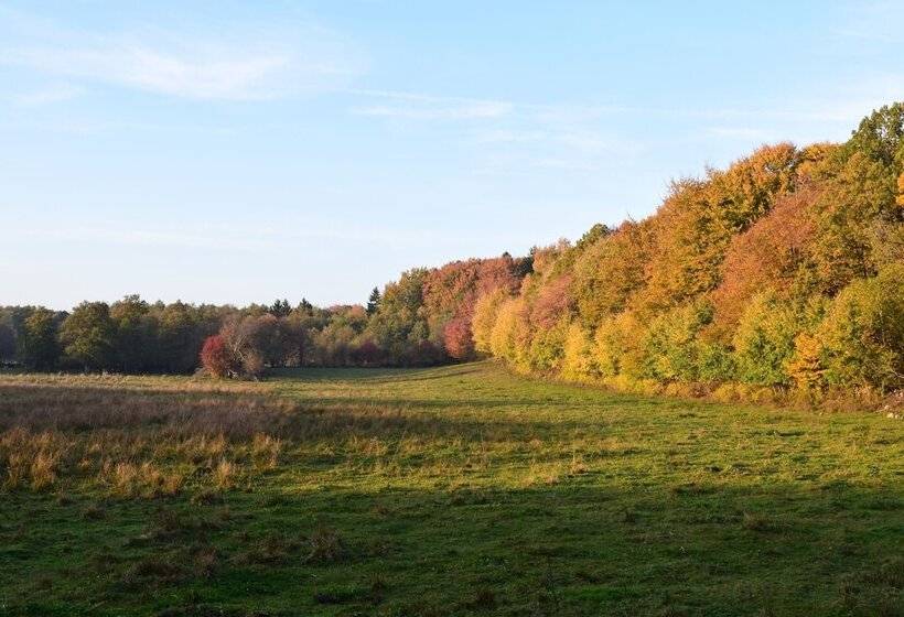 Lilla Rygården Bed & Breakfast