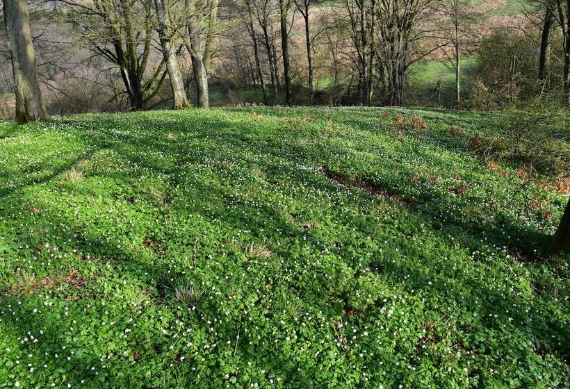 Lilla Rygården Bed & Breakfast