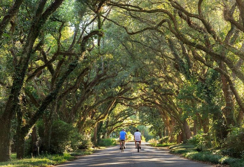 Magnolia Springs B&b