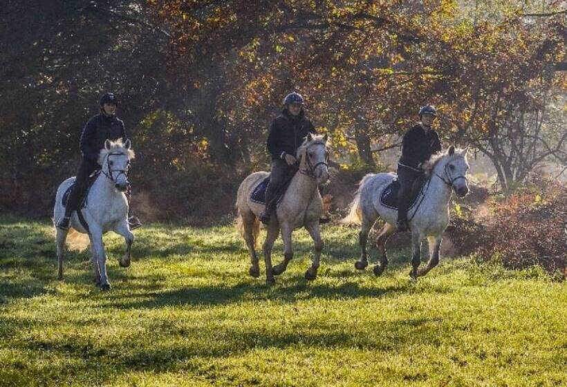 膳宿费 Au Charme Du Lac 2