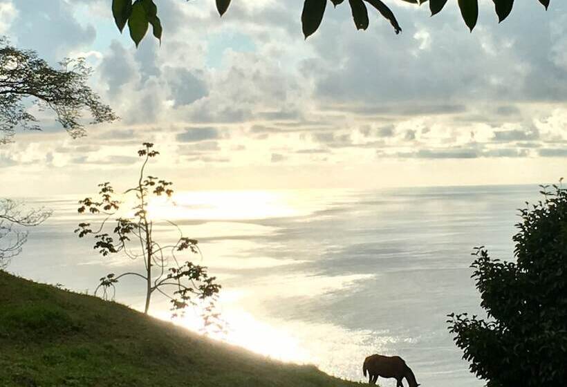 بنسيون Casa Nautika Guest House