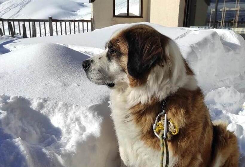 ペンション Chambres D Hotes Au Vieux Logis