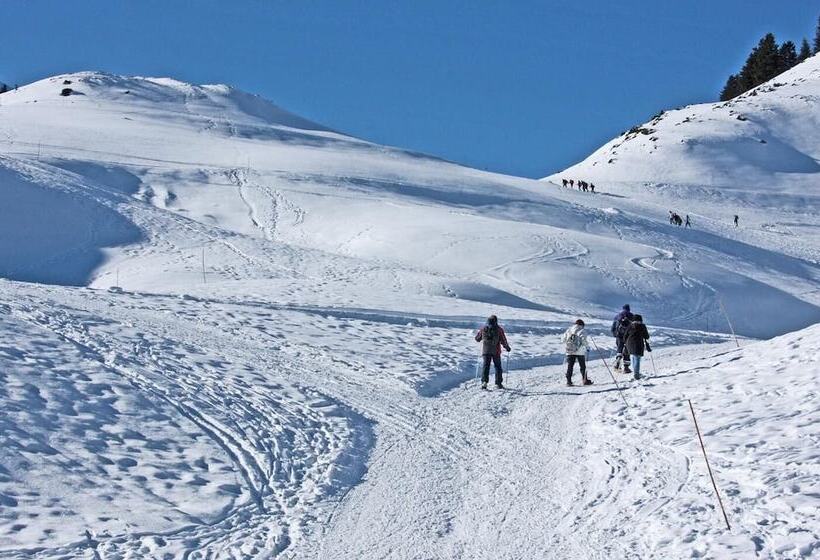 ペンション Chambres D Hotes Au Vieux Logis