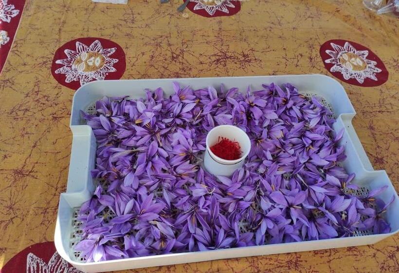 ペンション Chambres D Hotes Au Vieux Logis