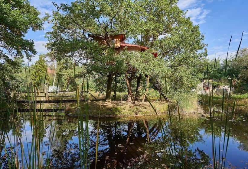 ペンション Die Geheime Welt Von Turisede