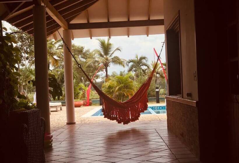 膳宿费 Equilibrio