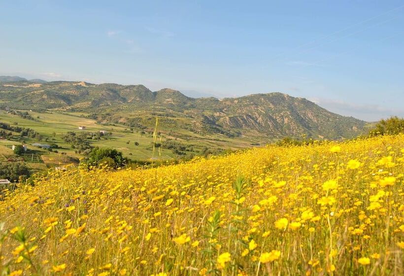 پانسیون Ferme D Hôte Aicha à Bellouta