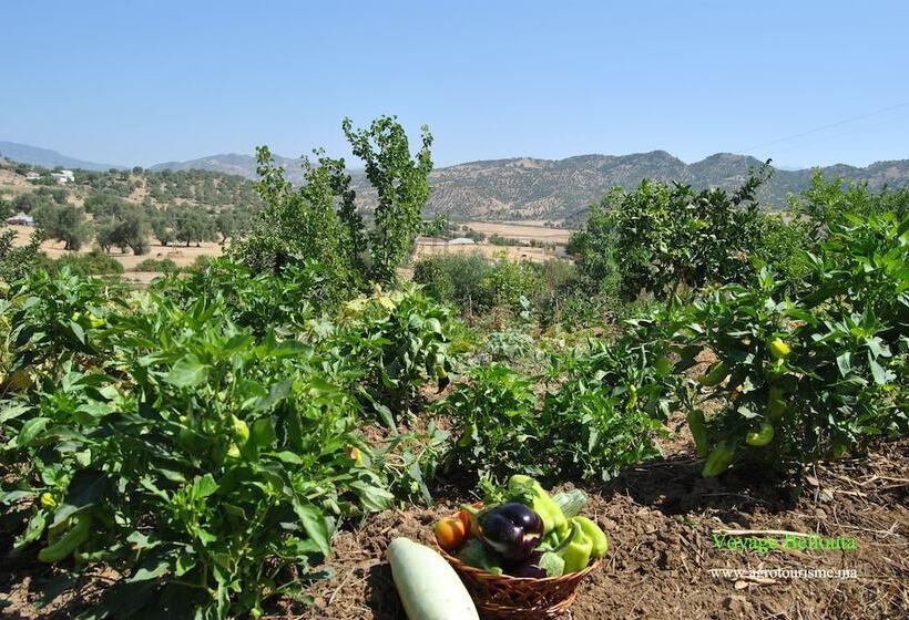 پانسیون Ferme D Hôte Aicha à Bellouta