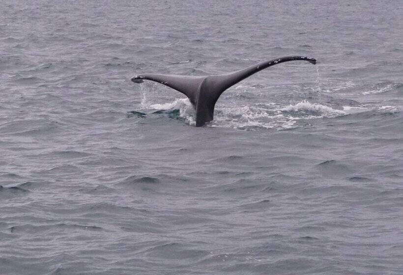 پانسیون Les Cases De Plum