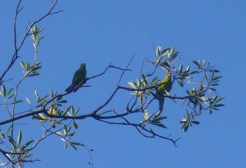 پانسیون Les Cases De Plum