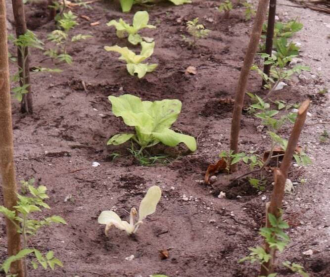 Пансион Terau Beach Bungalow