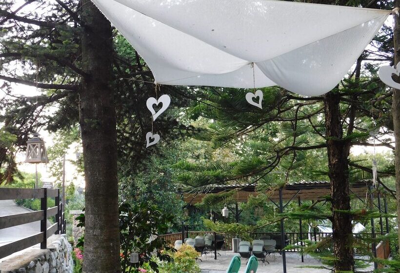 פנסיון To Kalivi