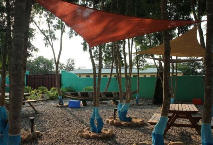 بنسيون Tom S Garden