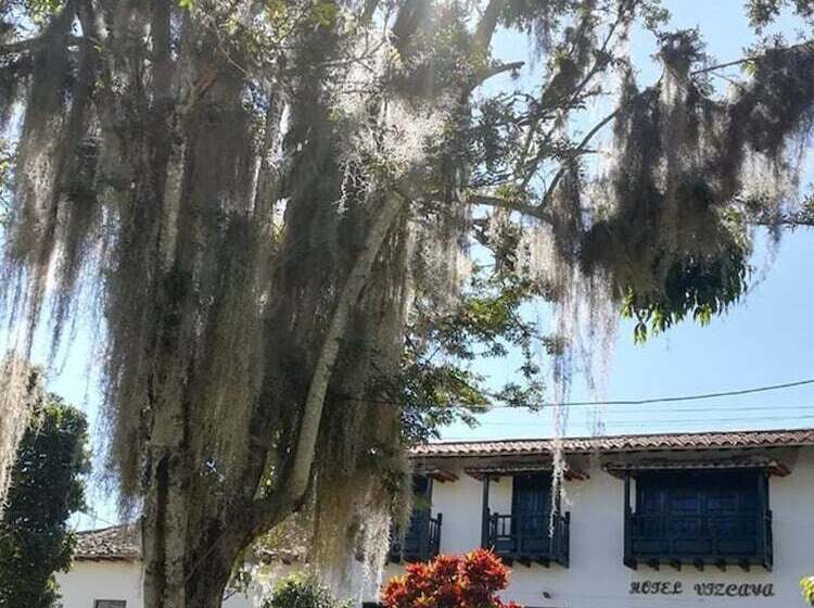 ペンション Vizcaya Plaza Curití