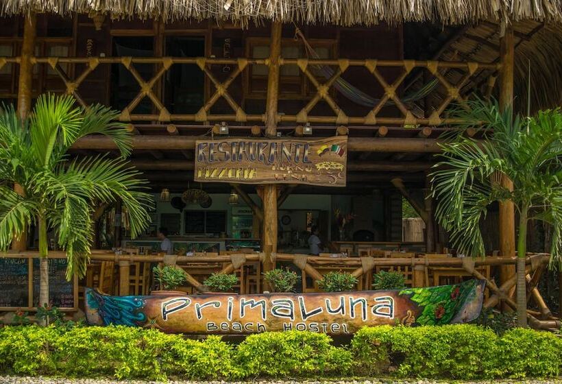 فندق صغير Prima Luna Palomino