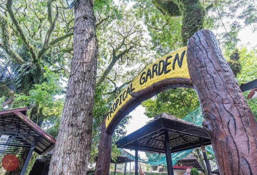 Quezon Premier Hotel Lucena