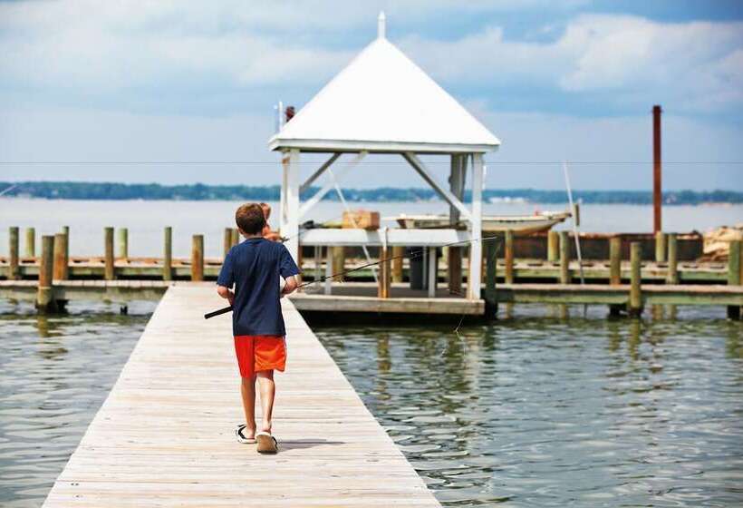 渡假胜地  Grey S Point Camp