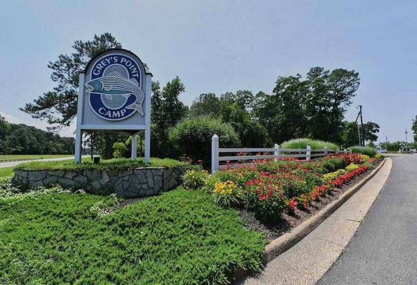 渡假胜地  Grey S Point Camp