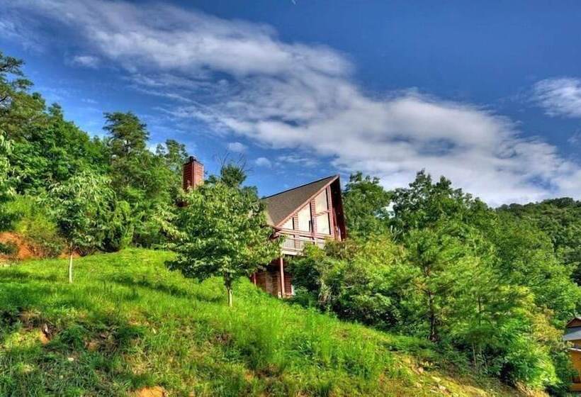 Wild Things Nevaeh Cabin Rentals