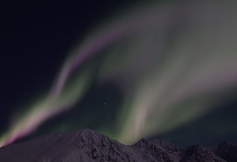 Xlyngen