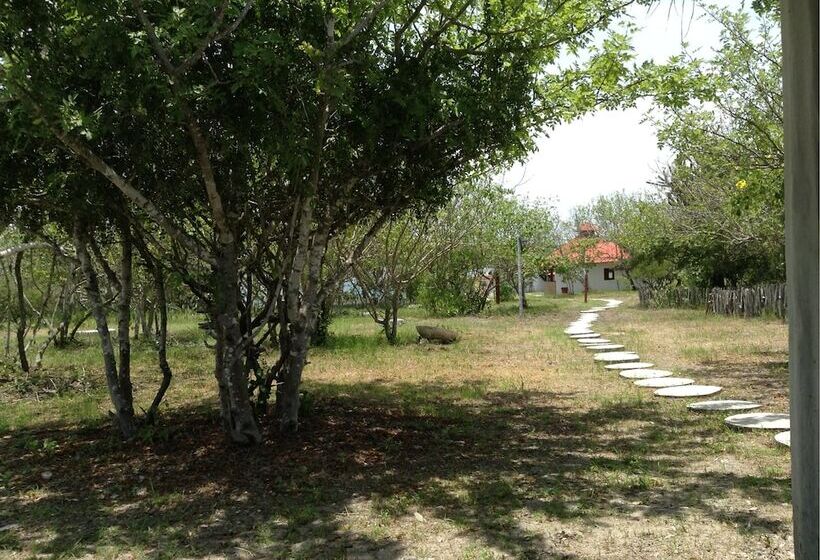 هاستل Angauel Inn