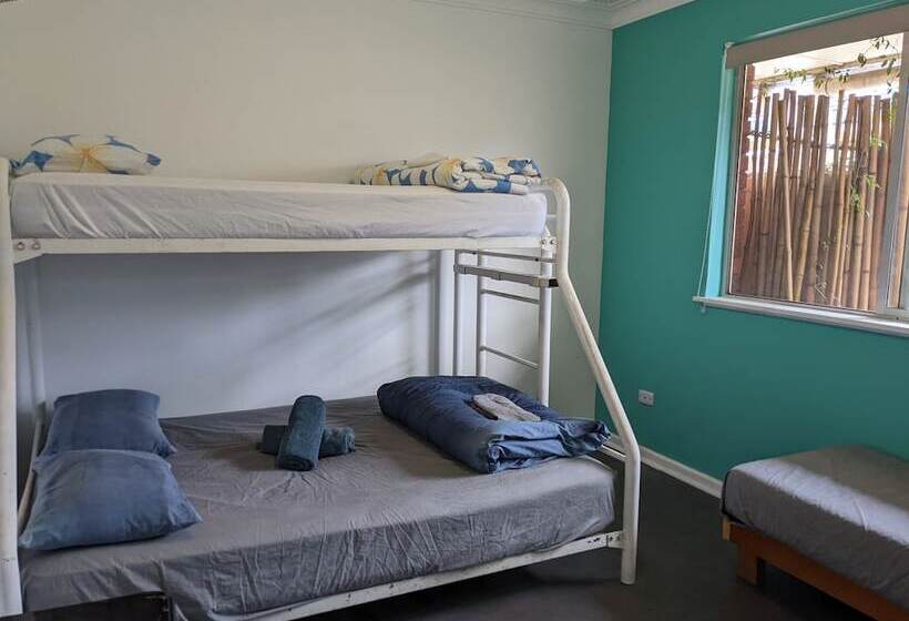 هاستل Ozzie Pozzie Backpackers   Yha