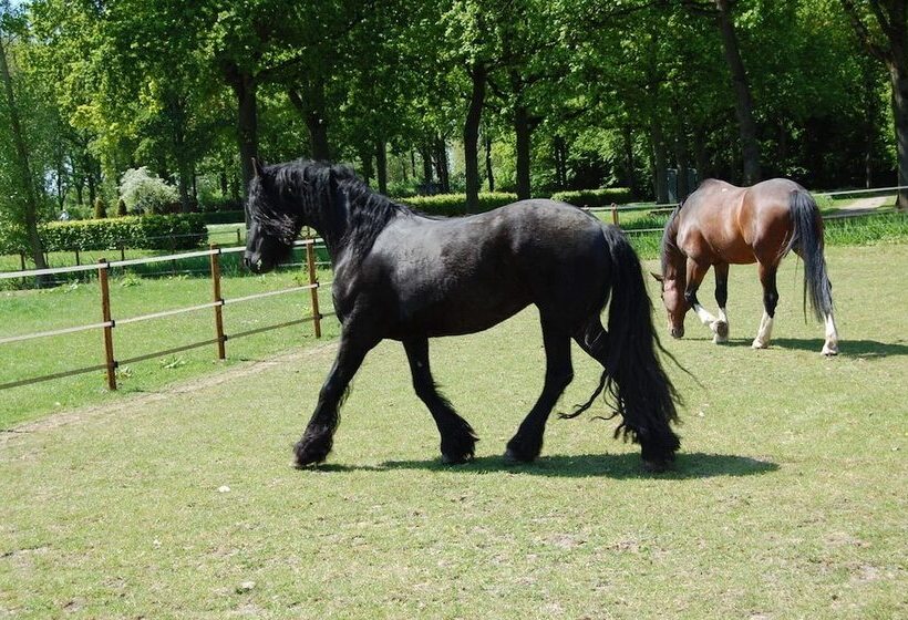 B&b Kasteelhoeve Dussen