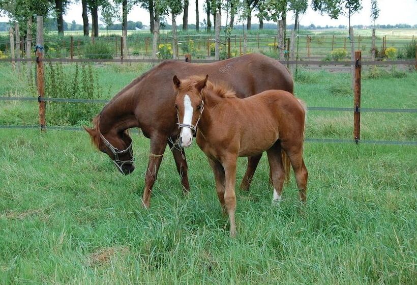 B&b Kasteelhoeve Dussen