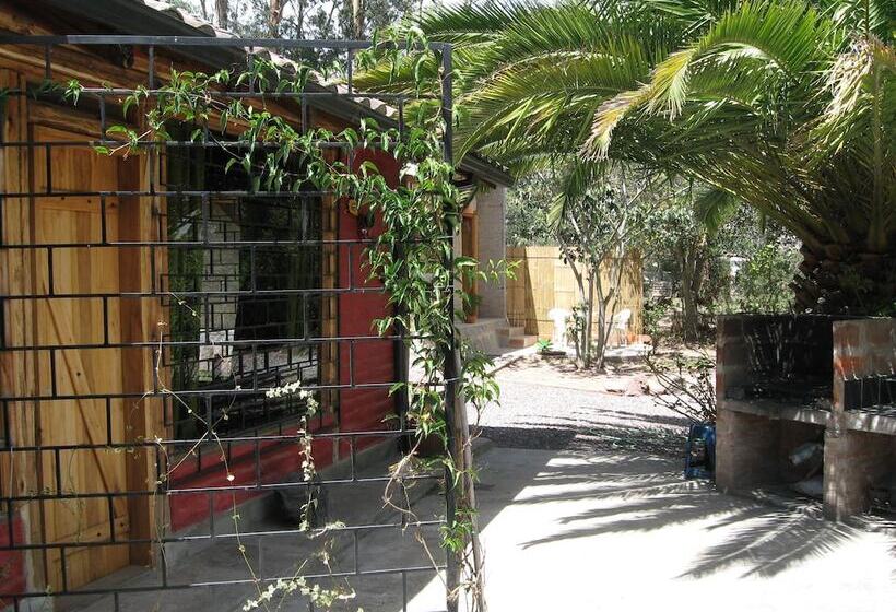 住宿加早餐  Arie S Cabin