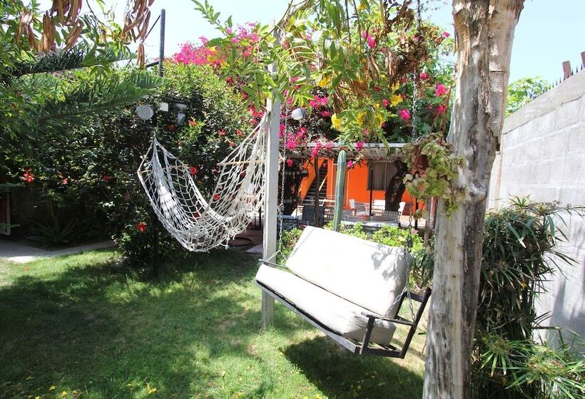 ベッドアンドブレックファースト Casa Del Profesor