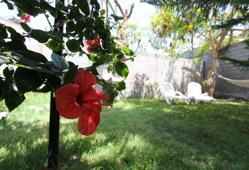 ベッドアンドブレックファースト Casa Del Profesor