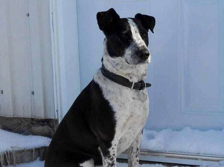 צימר Gîte Agricole Les Lilas