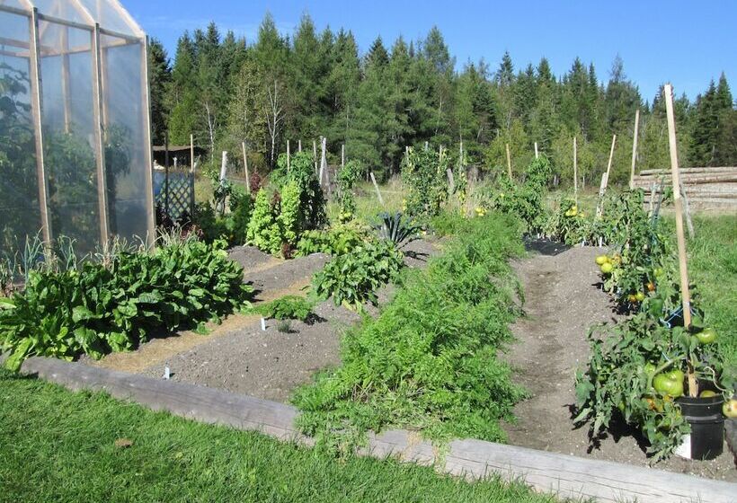 住宿加早餐 Le Jardin Des Mésanges