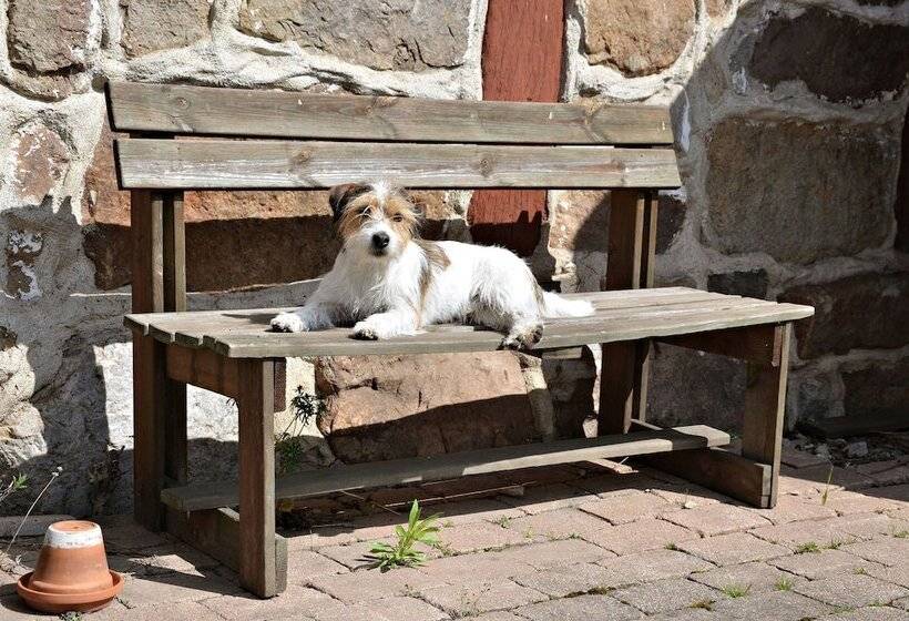 צימר Torsborgs Gård