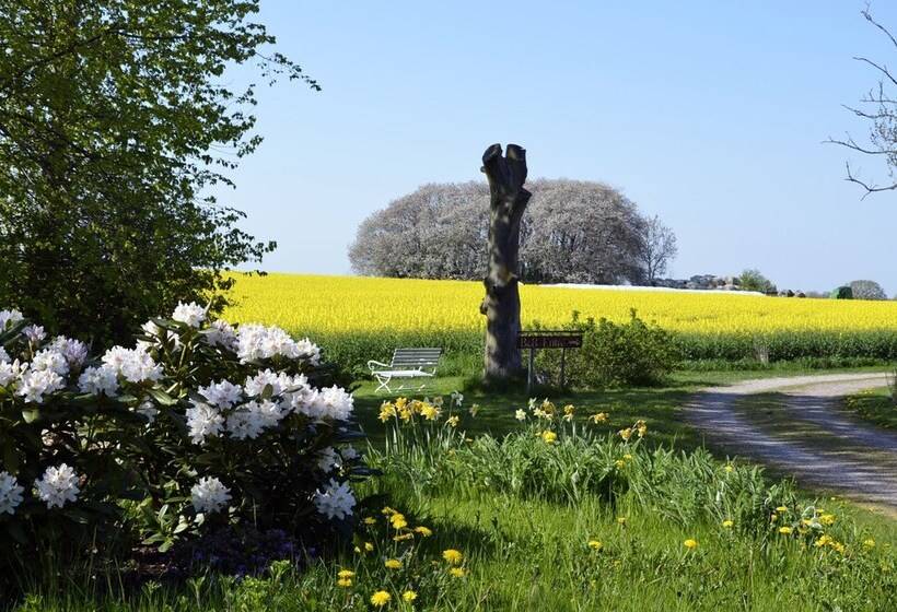 צימר Torsborgs Gård